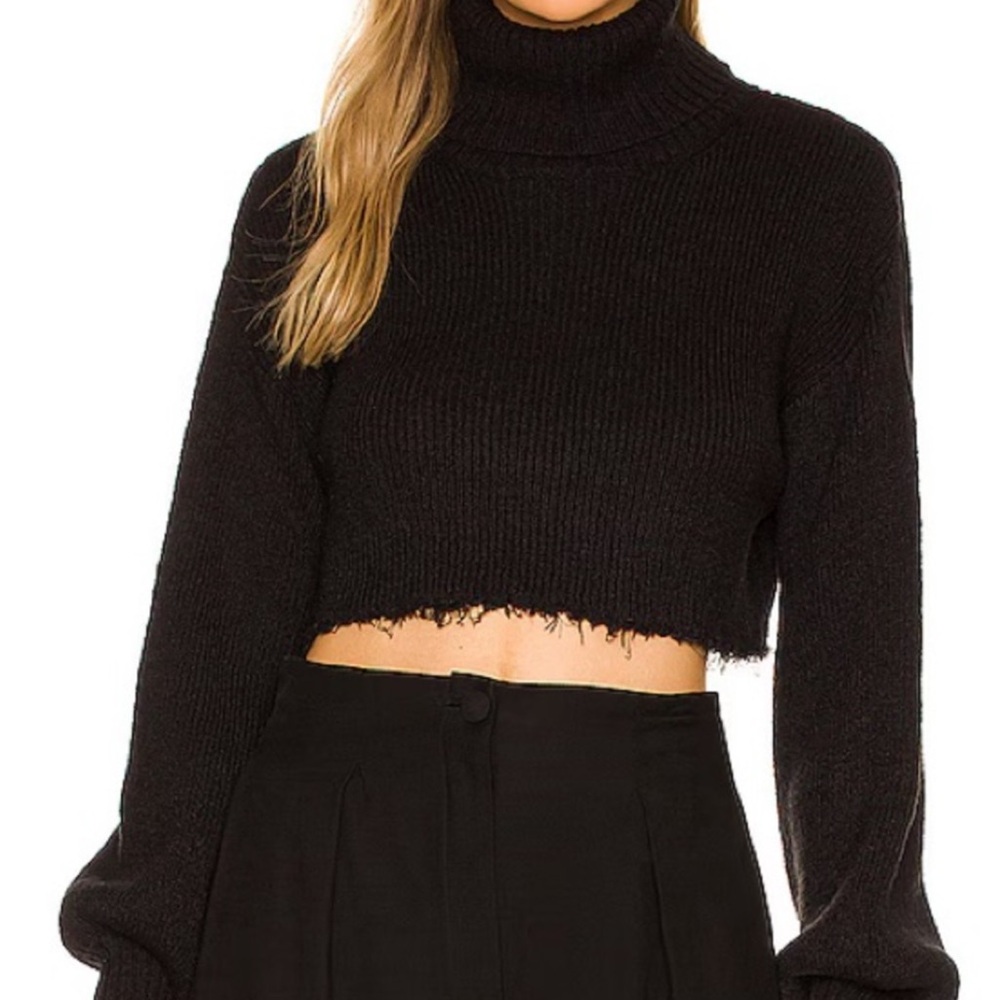 L’academie ~ Cropped Turtleneck Sweater